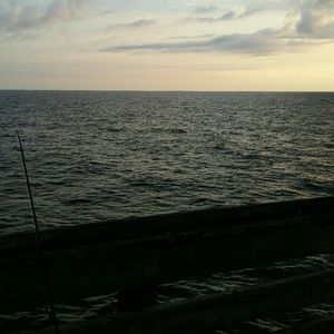 Meet your Posher, Ashlyn